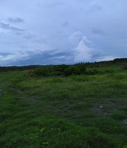 Scenic view of agricultural field against sky