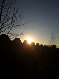 Silhouette of trees at sunset