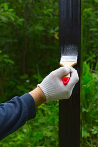 Close-up of person hand holding wooden post by fence