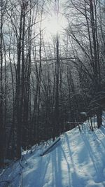 Sun shining through snow covered landscape