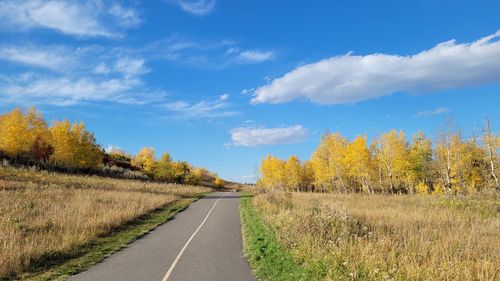 Road amidst trees against sky