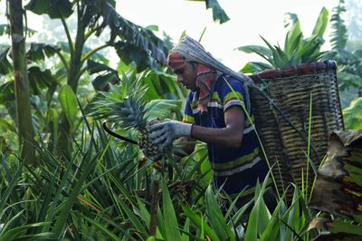 Portrait of woman standing amidst plants