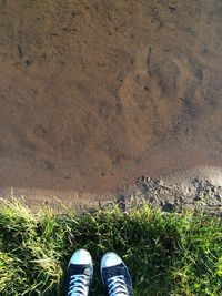 Low section of person standing on grassy field