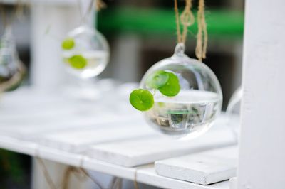 Close-up of plants in glass containers at farm