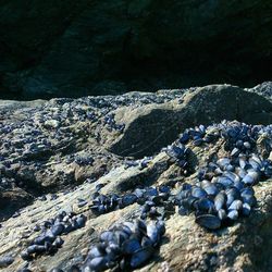 Scenic view of rock formations