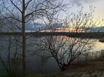 Bare tree by lake against sky during sunset