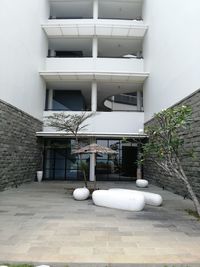 White potted plant on tiled floor against building