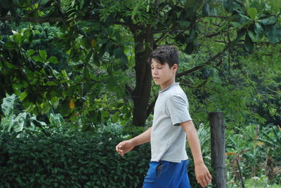 Boy walking by trees
