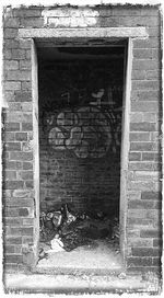 Closed window of building