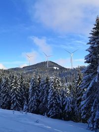 Scenic view of snowy field against sky during winter