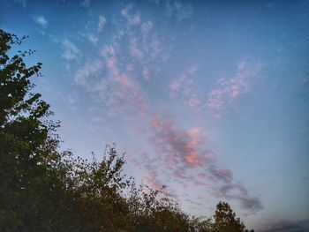 Low angle view of trees against sky during sunset