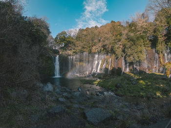 Scenic view of waterfall in forest