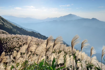 Scenic view of mountains against sky