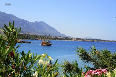 Boats in calm sea