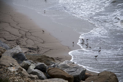 High angle view of rocks on beach