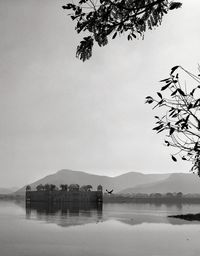 Bird flying over lake against clear sky