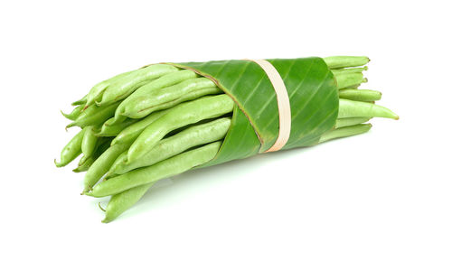 Close-up of green leaf against white background