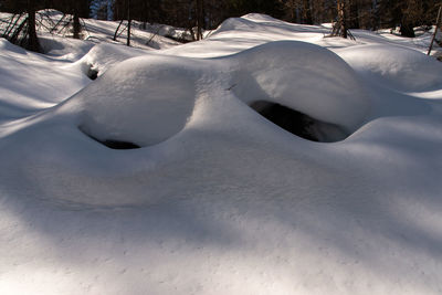 Snow covered land