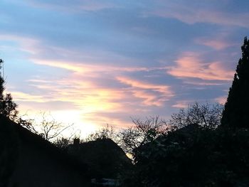 Silhouette plants against sky during sunset