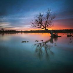 Bare tree on lake against cloudy sky during sunset