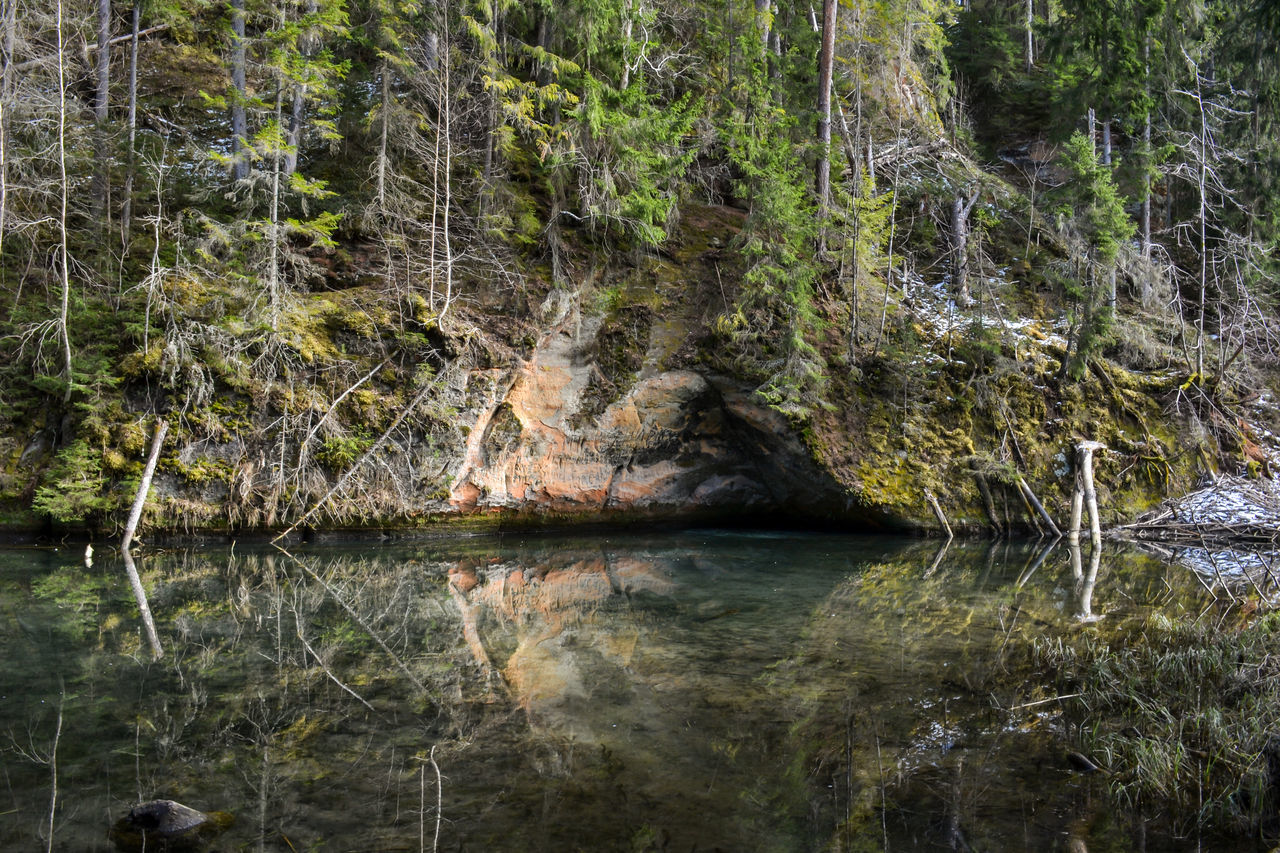 SCENIC VIEW OF LAKE