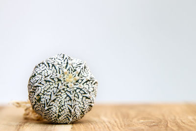 Close-up of pebble on table against white background