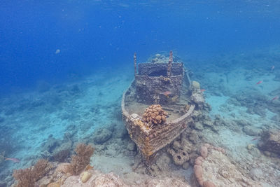 Coral reef at tugboat wreck scuba diving in sea ocean of curacao