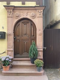 Potted plants on door of building