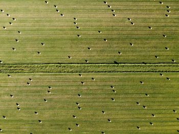 Aerial view of field with ballots