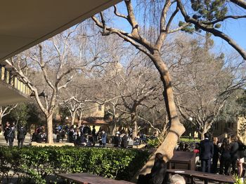 People in park