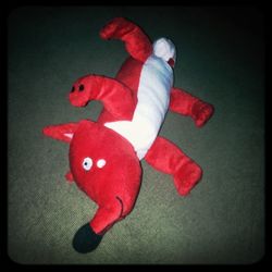 Close-up of red toy
