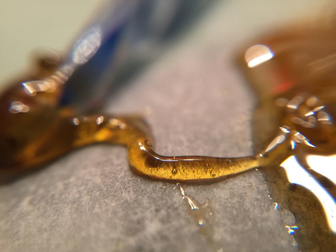 animal themes, one animal, water, animals in the wild, close-up, wildlife, reptile, selective focus, high angle view, indoors, wet, nature, swimming, animal head, part of, day, frog, no people, sea life