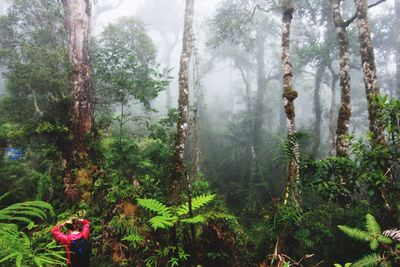 Woman hiking in forest during foggy weather