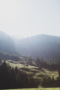 Scenic view of landscape against clear sky