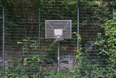 Basketball hoop with netting