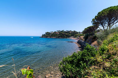 Scenic view of sea against clear blue sky