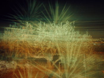 Defocused image of firework display at night