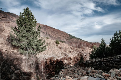 Scenic view of rocky mountains against sky
