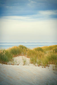 Scenic view of beach against sky