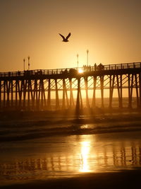 Silhouette birds flying over sea during sunset