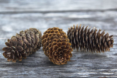 Close-up of pine cone on table