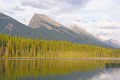 Evening on honeymoon lake in jasper national park