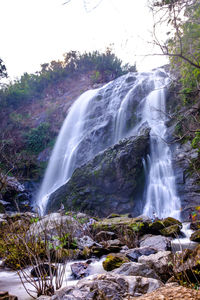 View of waterfall in forest