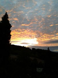 Silhouette trees on landscape against romantic sky at sunset
