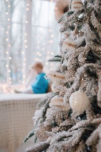 Close-up of snow covered christmas tree