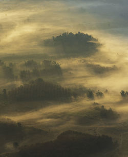 High angle view of trees against sky during sunset