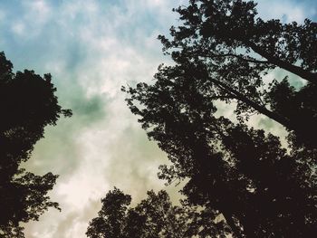 Low angle view of trees against cloudy sky