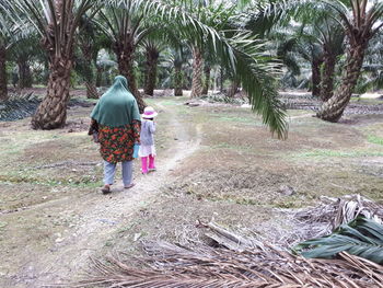 Rear view of people walking on palm trees