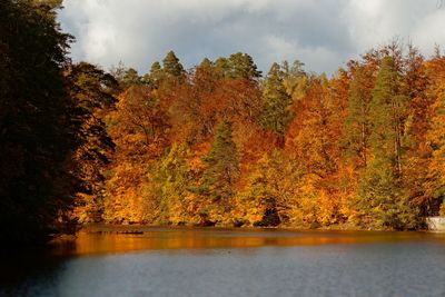 Scenic view of lake by trees against sky during autumn