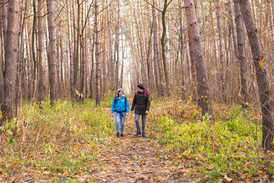 Rear view of men walking on footpath in forest